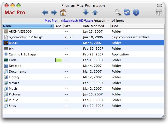 Screen shot: the iGet files window